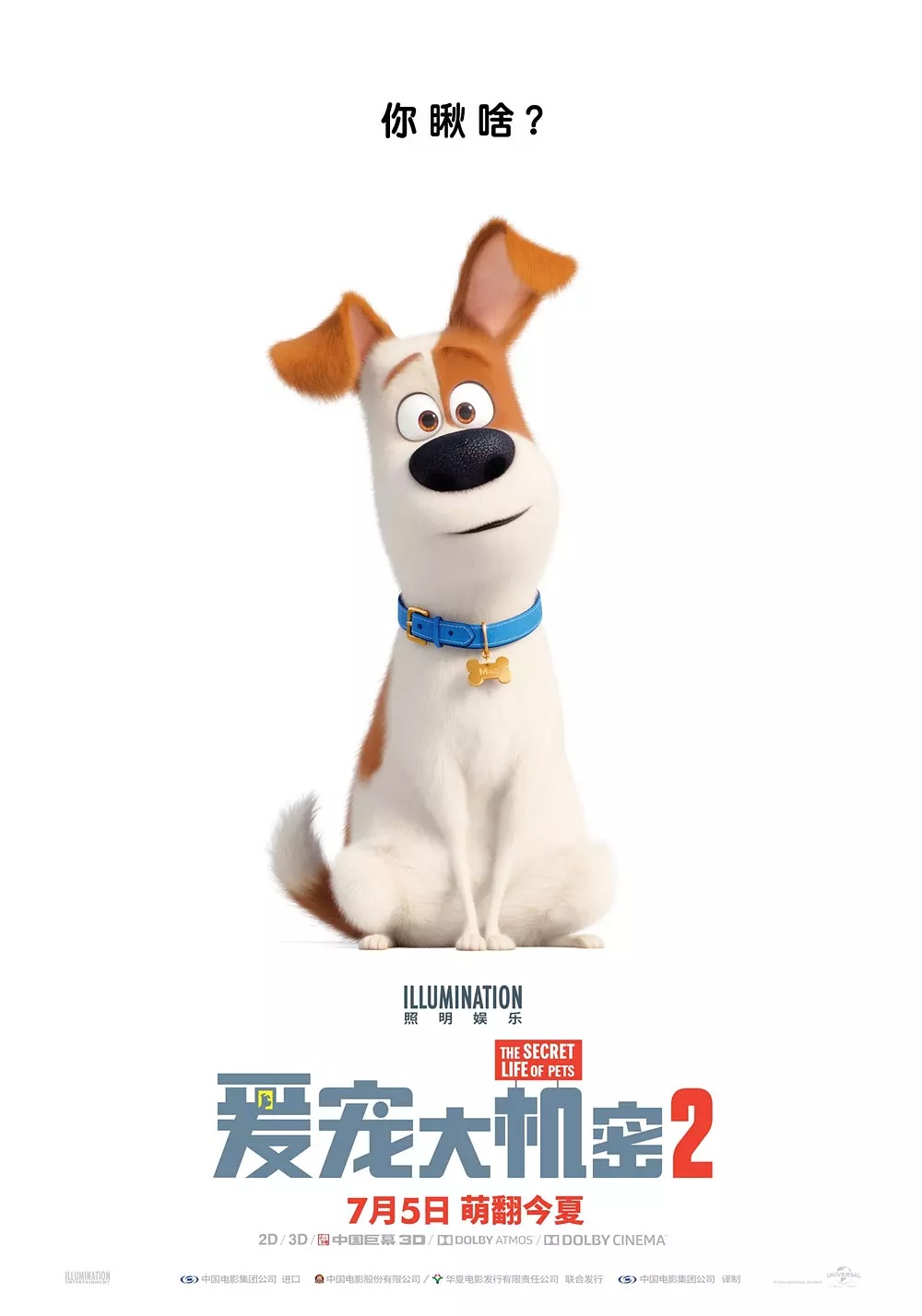 爱宠大机密2 The Secret Life of Pets 2
