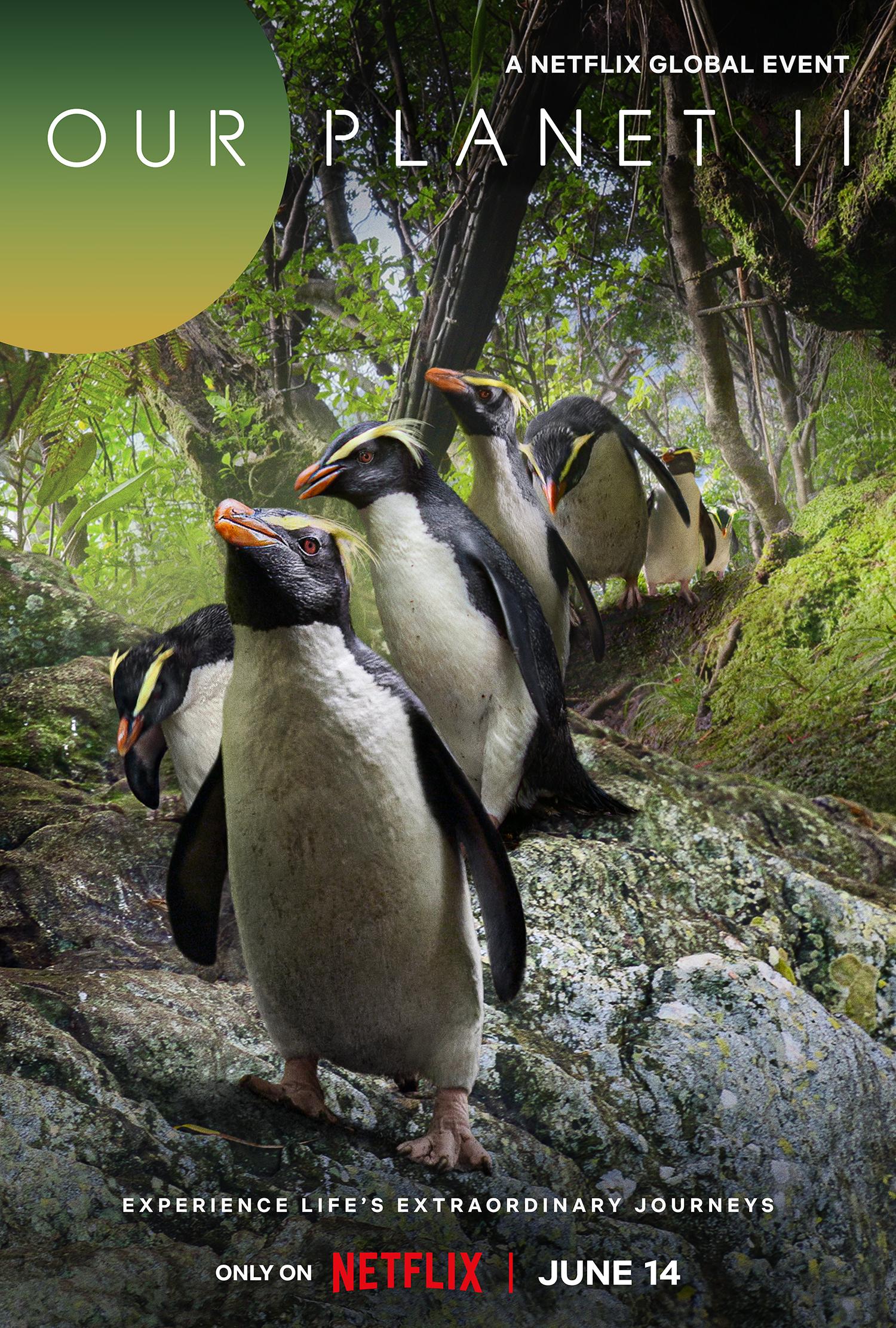 我们的星球 第一季 Our Planet Season 1